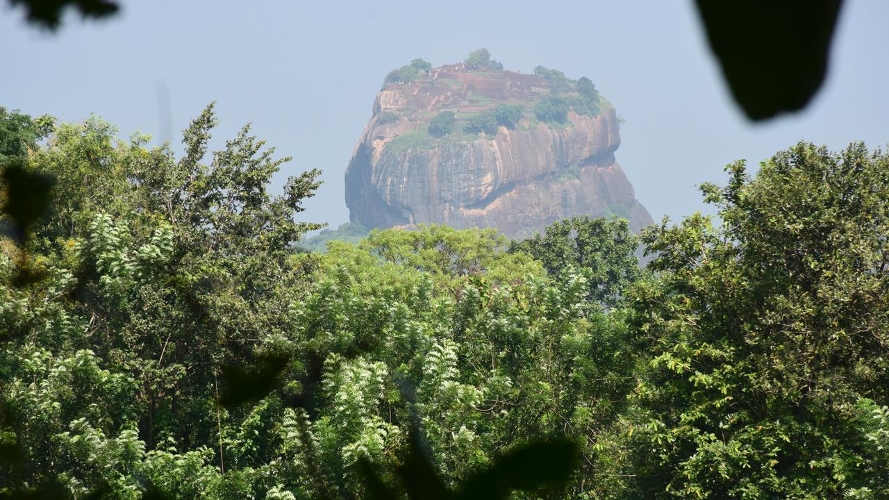 Sigiri Sarilco Rock View Treehouse Villa Sigiriya Exterior foto