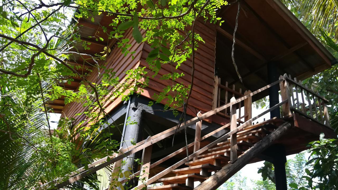 Sigiri Sarilco Rock View Treehouse Villa Sigiriya Exterior foto